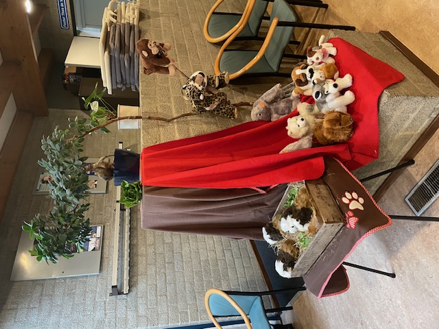 werelddierendag en seniorenbijeenkomst